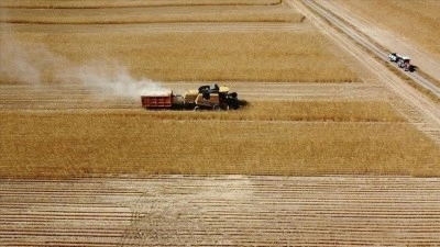 &Ccedil;ift&ccedil;ilere 8,7 milyar lira tarımsal destekleme &ouml;demesi bug&uuml;n yapılacak
