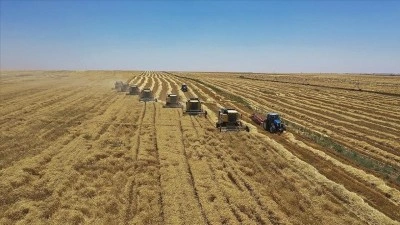 &Ccedil;ift&ccedil;ilere ikinci &uuml;r&uuml;n olarak "yem bitkileri" ekmesi &ouml;nerisi