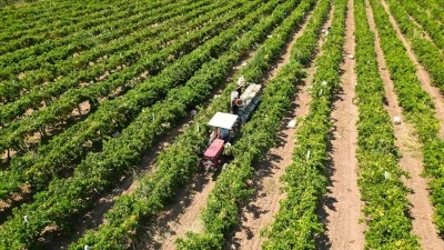 &Ccedil;ift&ccedil;ilere yaklaşık 17,4 milyar lira tarımsal destekleme &ouml;demesi bug&uuml;n yapılacak