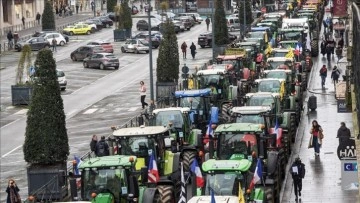 Çiftçilerin protestosu Fransa ve İspanya arasında "domates" tartışmasına neden oldu