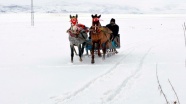 Çıldır Gölü'ndeki atlı kızakçılar misafirlerini bekliyor