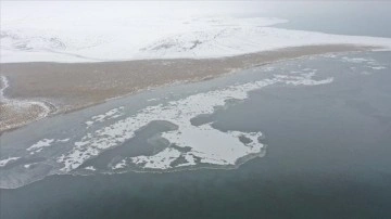 Çıldır Gölü'nün yüzeyi soğuk hava nedeniyle donmaya başladı