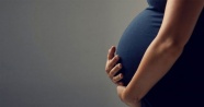 Çip yöntemi ile gebe kalma oranı arttı