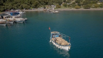 &Ccedil;obanların karada başlayan g&ouml;&ccedil;&uuml;, denizde devam eden sıra dışı yolculuğa d&ouml;n&uuml;ş&uuml;yor