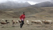 Çobanlık yapan milli atletin gözü olimpiyatlarda
