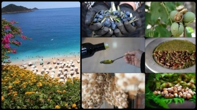 Coğrafi işaret başvurusunda Antalya, tescilinde Hatay zirvede yer aldı