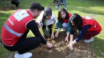 ÇOMÜ'de 6 Şubat depreminde hayatını kaybeden öğrenciler anısına hatıra ormanı