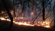 Çorum'da 60 hektar ormanlık alan yandı