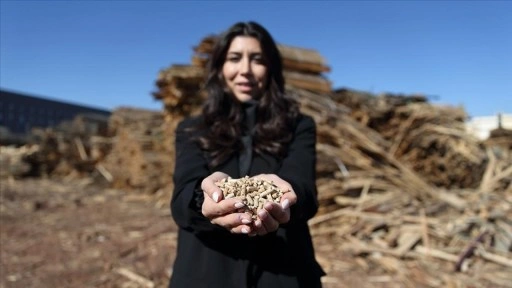 Çorum'da kadın girişimcinin kurduğu pelet fabrikası ahşap atıklarını ekonomiye kazandırıyor
