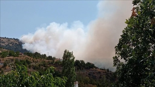 Çorum'da ormanlık alanda çıkan yangına müdahale ediliyor