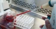 ÇÜ'de bilim insanları yapay kan üretti