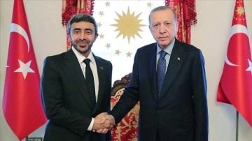 Cumhurbaşkanı Erdoğan, BAE Dışişleri Bakanı Al Nahyan'ı kabul etti