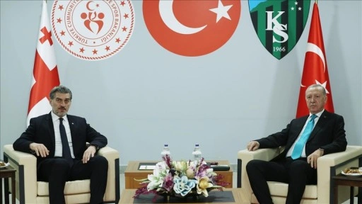 Cumhurbaşkanı Erdoğan, Gürcistan Cumhurbaşkanı Kavelaşvili ile görüştü