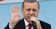 Cumhurbaşkanı Erdoğan, hazine müsteşarı Çelik’i kabul etti