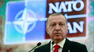 Cumhurbaşkanı Erdoğan'ın Litvanya&rsquo;daki NATO temasları zafer mi hezimet mi? -&Ouml;m&uuml;r &Ccedil;elikd&ouml;nmez yazdı-