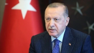 Cumhurbaşkanı Erdoğan, Norveç Başbakanı Store ile telefonda görüştü