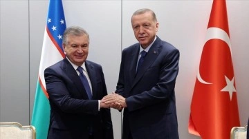 Cumhurbaşkanı Erdoğan, Özbekistan Cumhurbaşkanı Şevket Mirziyoyev ile görüştü