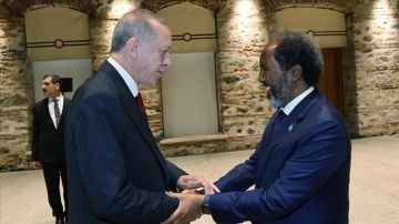 Cumhurbaşkanı Erdoğan Somali Cumhurbaşkanı Mahmud ile görüştü