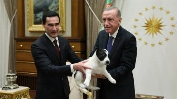 Cumhurbaşkanı Erdoğan ve Türkmenistan Devlet Başkanı Berdimuhamedov birbirlerine köpek hediye etti