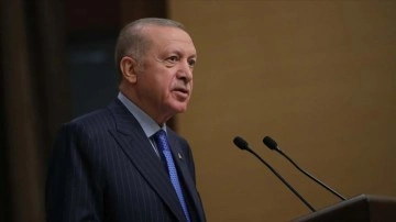 Cumhurbaşkanı Erdoğan'a yönelik hakaret içeren paylaşımlarla ilgili soruşturmalar sürüyor