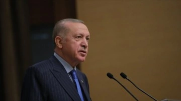 Cumhurbaşkanı Erdoğan'dan şehit Uzman Çavuş Özcan'ın ailesine taziye mesajı