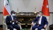 Cumhurbaşkanı Yardımcısı Oktay, Ekvator Ginesi Cumhurbaşkanı Yardımcısı Mangue ile görüştü