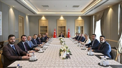 Cumhurbaşkanı Yardımcısı Yılmaz, AK Parti Genel Başkan Yardımcısı Büyükgümüş'ü kabul etti