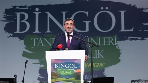 Cumhurbaşkanı Yardımcısı Yılmaz: Biz hem 'Terörsüz Türkiye' hem 'Terörsüz Bölge' diyoruz