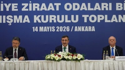 Cumhurbaşkanı Yardımcısı Yılmaz: Bu sene genel b&uuml;y&uuml;memize tarımın katkısı pozitif olacak