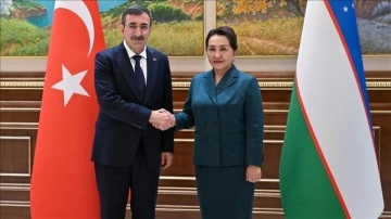 Cumhurbaşkanı Yardımcısı Yılmaz, Özbekistan Ali Meclis Senato Başkanı Narbaeva ile görüştü