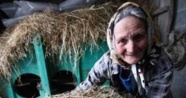 Dağ çileği toplamaya giden yaşlı kadın ormanda kayboldu