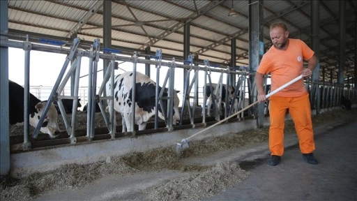 Dalaman'daki cezaevinde meslek öğrenen hükümlüler iş kollarında istihdam ediliyor