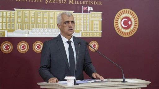 DEM Parti'li Gergerlioğlu, terör örgütü PKK'nın 11 Temmuz'da silah bırakacağını söyle