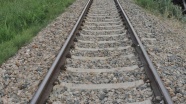 Demiryoluyla Batum'a bağlanma projesi sevindirdi