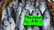 &#039;Denizin kırmızı etli balığı&#039; palamut 10 liradan tezgahlarda