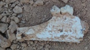 Denizli'de 9 milyon öncesine tarihlenen karıncayiyen ve fil fosilleri bulundu