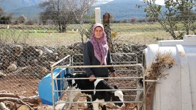 Denizli'de kadın girişimci devlet desteğiyle hayal ettiği &ccedil;iftliği kurdu
