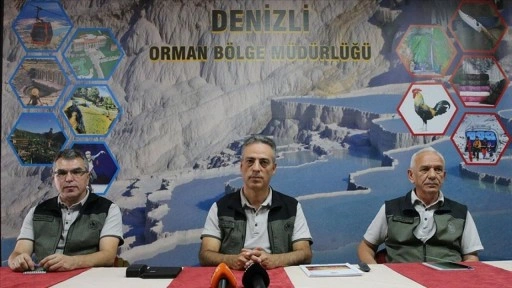 Denizli'de yangınlarda zarar gören alanlar 2 milyon 556 bin fidanla yeşillendirilecek