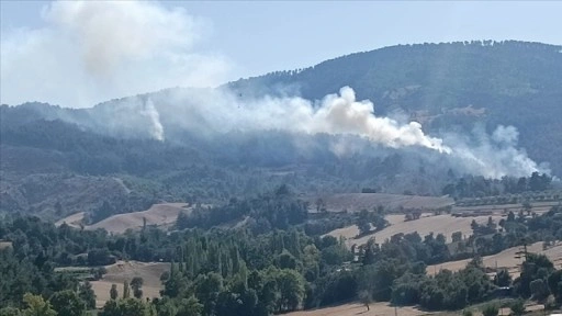 Denizli'nin Buldan ilçesinde orman yangını çıktı