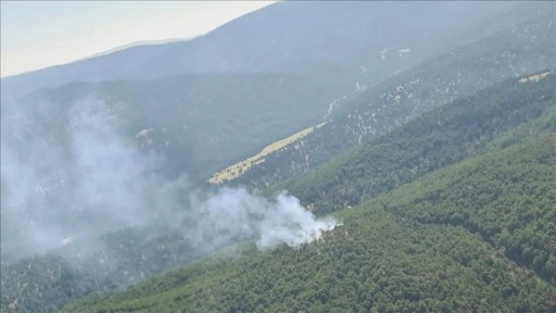 Denizli'nin Çivril ilçesinde orman yangını çıktı