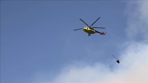 Denizli'nin Pamukkale ilçesindeki orman yangını büyük ölçüde kontrol altına alındı