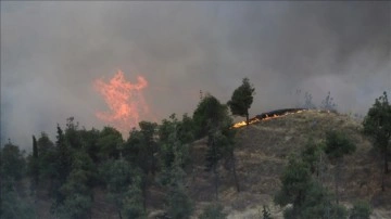 Denizli'deki orman yangınıyla ilgili 3 kişi gözaltına alındı