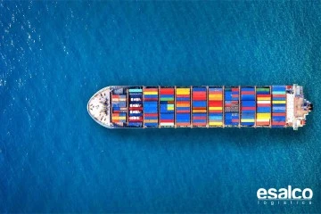 Denizyolu Taşımacılığı ile D&uuml;nya &Ccedil;apında Kapsamlı Hizmetler