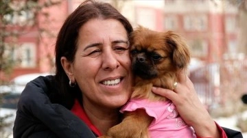 	Depremde enkazdan kurtarılan köpek &quot;Tarçın&quot;ı Bingöllü hayvansever sahiplendi