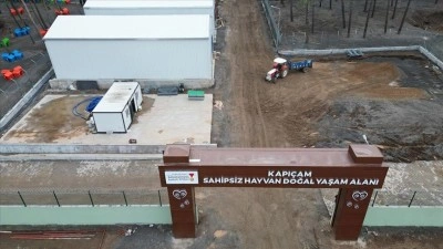Depremde hasar g&ouml;ren Kapı&ccedil;am Sokak Hayvanları Rehabilitasyon Merkezi yenilendi