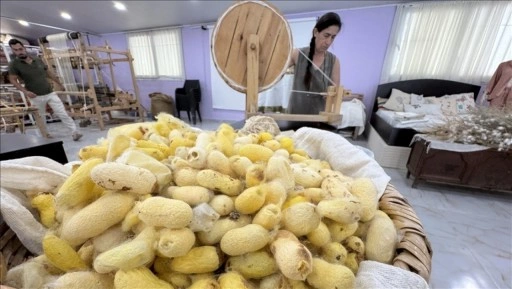 Depremden kurtardığı böcek yumurtalarıyla "Hatay sarısı ipeği"ne tescil kazandırdı