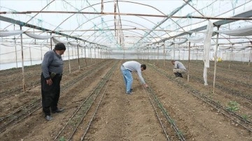 Depremlerin merkez üssü Kahramanmaraş'ta çiftçiler ve besiciler üretimi sürdürüyor