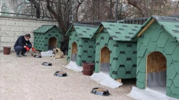 Devlet Arşivleri Başkanlığı, bahçesini sahipsiz hayvanlar için 'açık barınak' haline getir