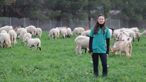 Devlet desteğiyle besiciliğe başlayan veteriner, babasının emanetine de sahip &ccedil;ıkıyor