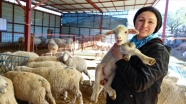 Devlet desteğiyle çiftlik kuran kadın girişimci, kuzularını &#039;anne şefkatiyle&#039; büyütüyor